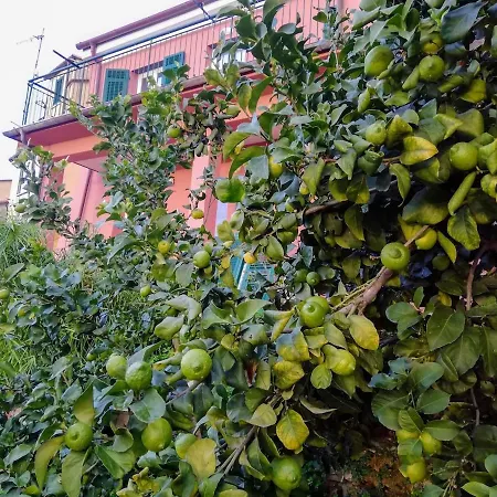 La Notte Sull'isola - - Tra Il Cielo E Il Mare * Montaretto