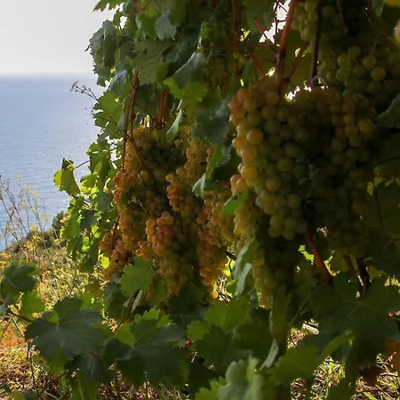 La Notte Sull'isola - - Tra Il Cielo E Il Mare *