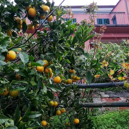 La Notte Sull'isola - - Tra Il Cielo E Il Mare Apartment *