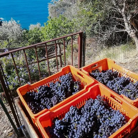 Apartment La Notte Sull'isola - - Tra Il Cielo E Il Mare *