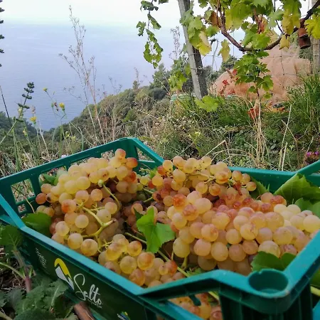 La Notte Sull'isola - - Tra Il Cielo E Il Mare Montaretto