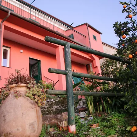 La Notte Sull'isola - - Tra Il Cielo E Il Mare Apartment