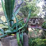 La Notte Sull'isola - - Tra Il Cielo E Il Mare Διαμέρισμα