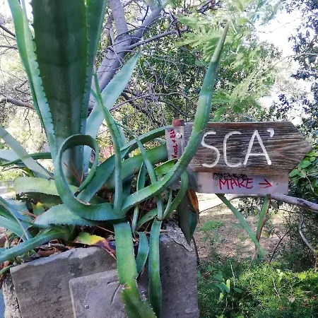 La Notte Sull'isola - Montaretto - Tra Il Cielo E Il Mare Апартаменты