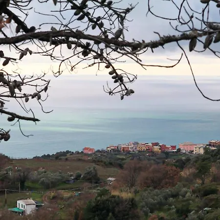 アパート La Notte Sull'isola - Montaretto - Terrazza Tra Il Cielo E Il Mare