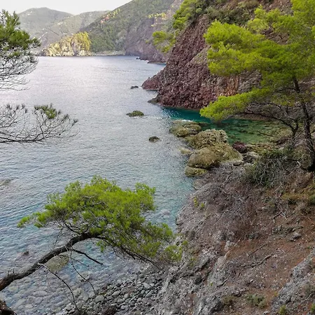 Appartamento La Notte Sull'isola - Montaretto - Tra Il Cielo E Il Mare *