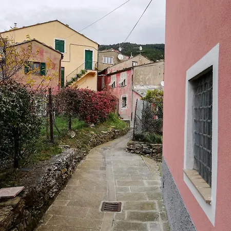La Notte Sull'isola - Montaretto - Tra Il Cielo E Il Mare Reggimonti
