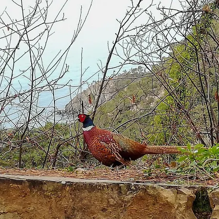 La Notte Sull'isola - - Tra Il Cielo E Il Mare Montaretto