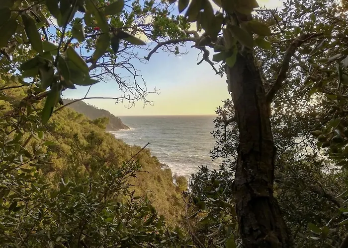 アパート La Notte Sull'isola - - Tra Il Cielo E Il Mare *