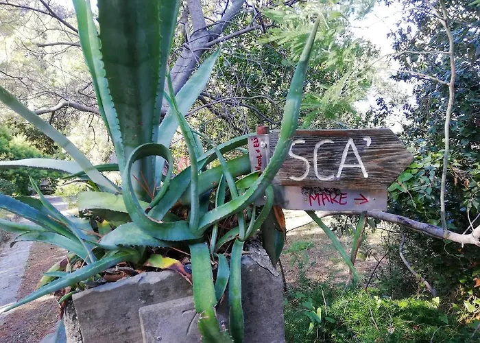 La Notte Sull'isola - - Tra Il Cielo E Il Mare Appartement