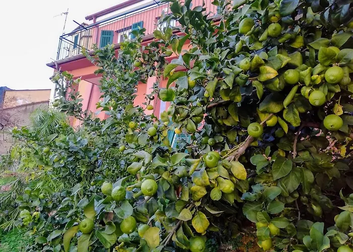 La Notte Sull'isola - - Tra Il Cielo E Il Mare * Montaretto