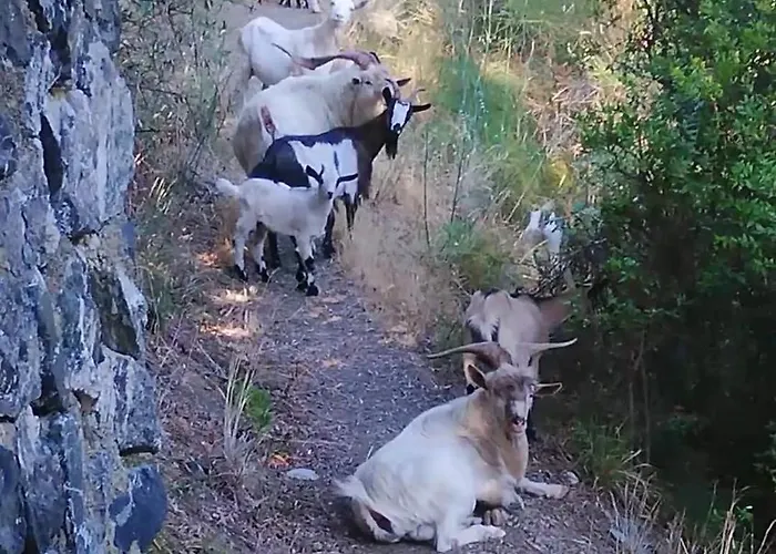 La Notte Sull'isola - - Tra Il Cielo E Il Mare * Montaretto