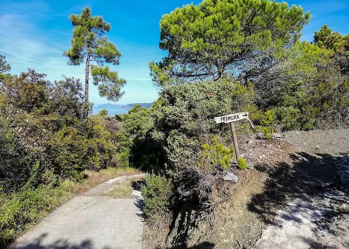 La Notte Sull'isola - - Tra Il Cielo E Il Mare Appartement