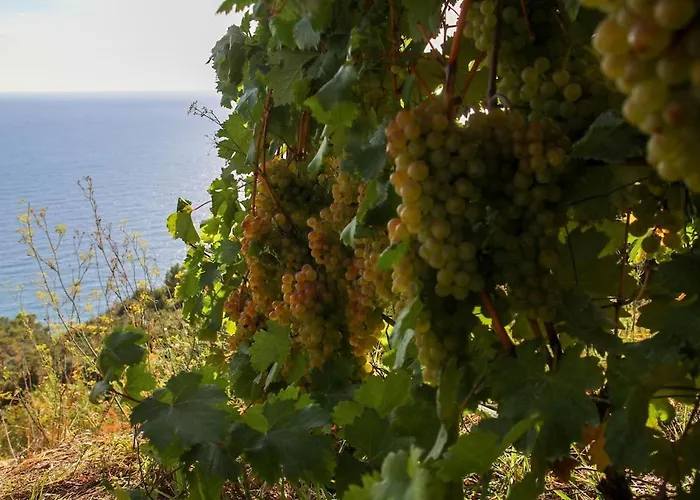 La Notte Sull'isola - - Tra Il Cielo E Il Mare *