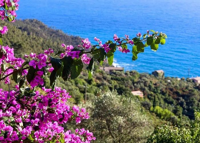 La Notte Sull'isola - - Tra Il Cielo E Il Mare Appartement *