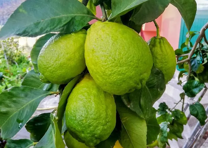 Appartement La Notte Sull'isola - - Tra Il Cielo E Il Mare *