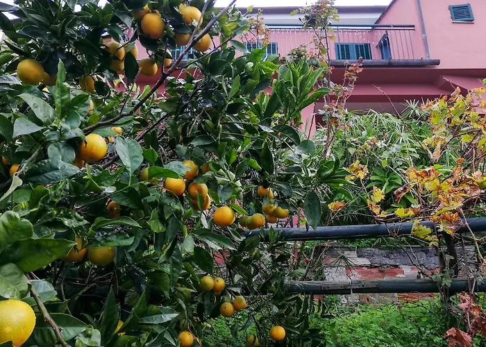 La Notte Sull'isola - - Tra Il Cielo E Il Mare Appartement *