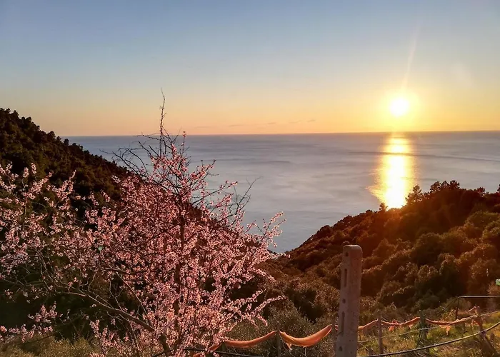 Appartement La Notte Sull'isola - - Tra Il Cielo E Il Mare Montaretto