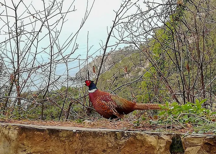 La Notte Sull'isola - - Tra Il Cielo E Il Mare Montaretto