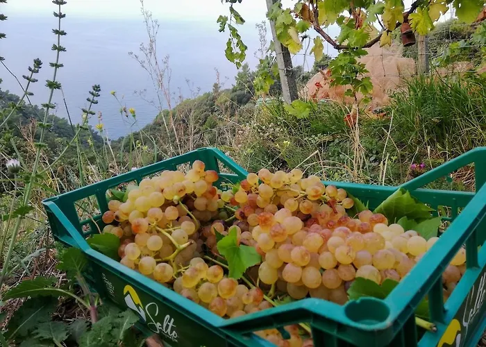 La Notte Sull'isola - - Tra Il Cielo E Il Mare Montaretto