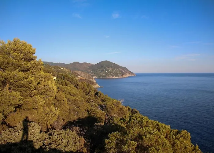 La Notte Sull'isola - - Tra Il Cielo E Il Mare Appartement Montaretto